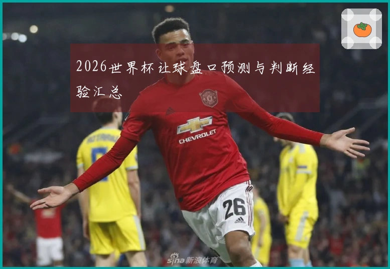 2026世界杯让球盘口预测与判断经验汇总