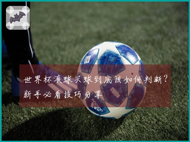 世界杯滚球买球到底该如何判断？新手必看技巧分享