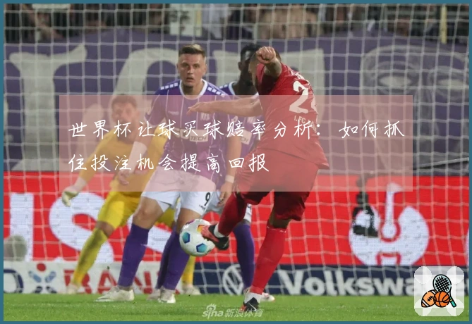 世界杯让球买球赔率分析：如何抓住投注机会提高回报