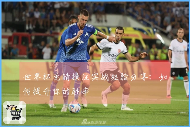 世界杯竞猜投注实战经验分享：如何提升你的胜率