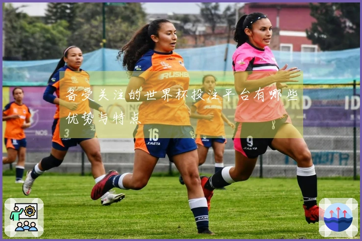 备受关注的世界杯投注平台有哪些优势与特点