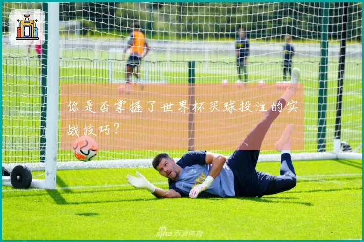 你是否掌握了世界杯买球投注的实战技巧？